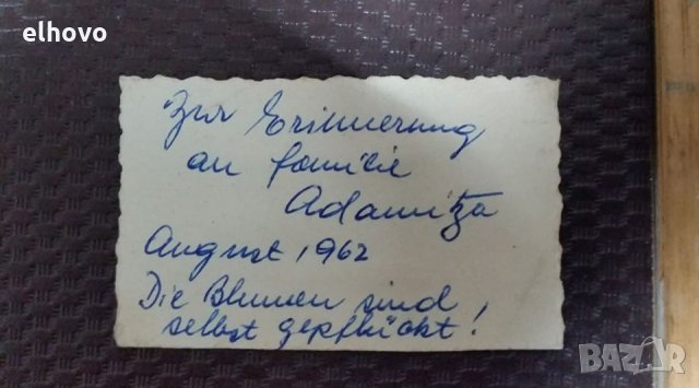 Стар хербарии от 1962г, снимка 4 - Антикварни и старинни предмети - 27543273