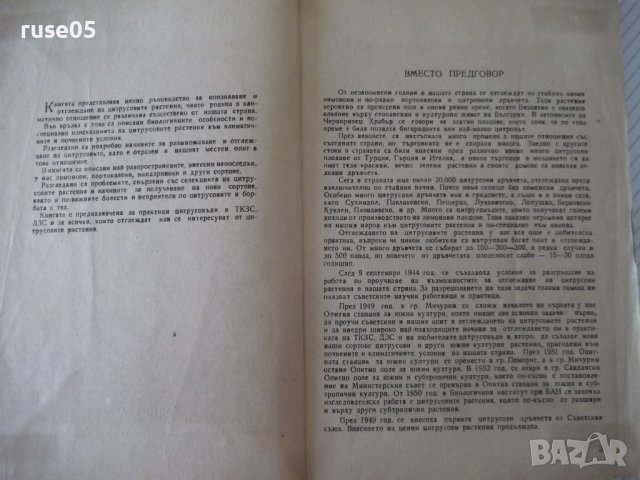 Книга "Цитрусовите растения у нас - С.Серафимов" - 144 стр., снимка 3 - Специализирана литература - 40060658