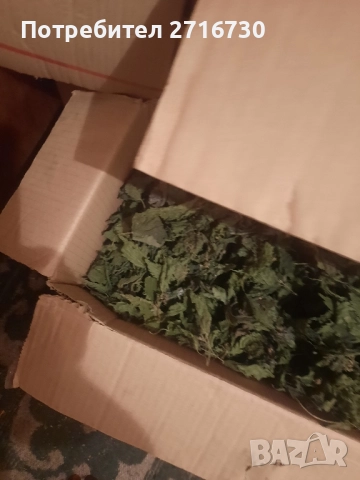 Коприва - Изсушени листа (чай) от подножието на Рила