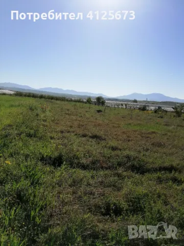 Продавам земеделска земя в землището на с.Ново Делчево, общ. Сандански