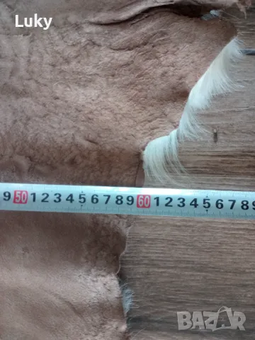 Екзотична и естествена кожа ., снимка 3 - Други ценни предмети - 47443307
