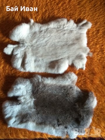 2Бр ЗАЕШКИ КОЖИ 