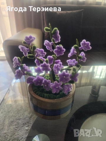 Плюшено дръвче