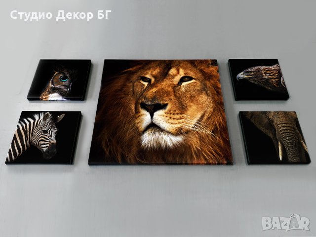 КАРТИНА ДИВИ ЖИВОТНИ 5 ЧАСТИ , снимка 3 - Картини - 24894475