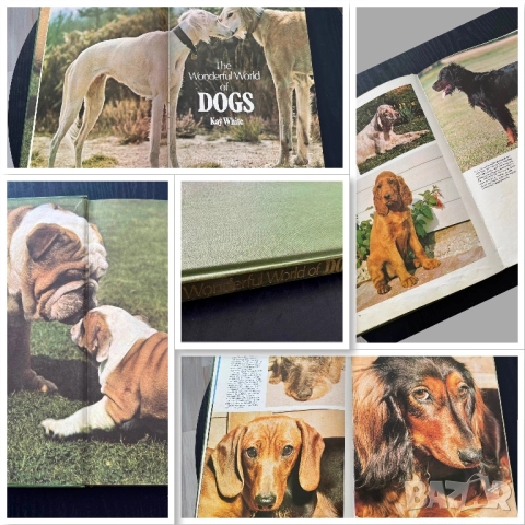 Кинология - книги и списания за кучето и котката, снимка 4 - Специализирана литература - 51950834