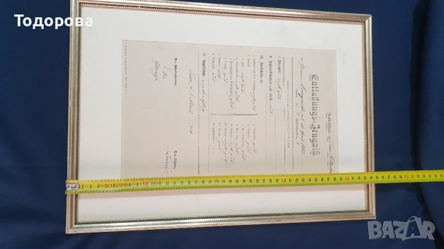 Стара немска диплома от 1882 година, снимка 4 - Антикварни и старинни предмети - 53061470
