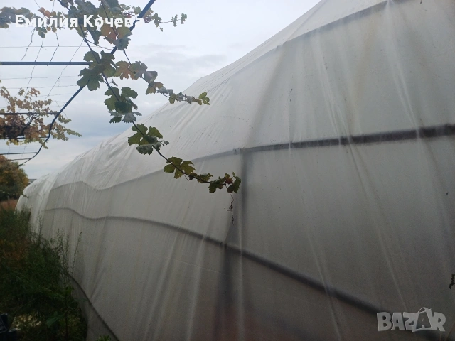 Продавам оранжерия , снимка 4 - Оранжерии - 53282195