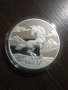 Сребърни инвестиционни монети, снимка 11
