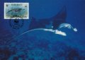 Кирибати 1991 - 4 броя Карти Максимум - WWF, снимка 4