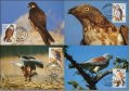 Малта 1991 - 4 броя Карти Максимум - WWF, снимка 1 - Филателия - 38843131