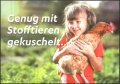 Пощенска картичка Дете, Кокошка от Германия