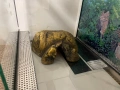 Терариум за гекон/гущер 60х30х30 с 2 нагреватея, купички и укрития, снимка 6