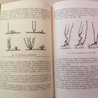 Практическо ръководство по лозарство-Митко Ников, снимка 7 - Специализирана литература - 33238162