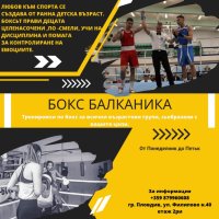 Боксов клуб Балканика , снимка 1 - Бокс - 43900070