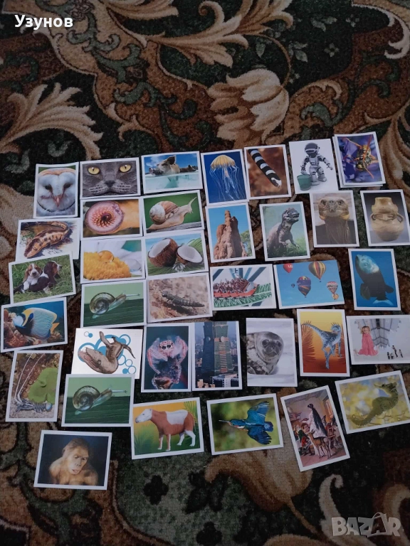 Стикери на Била-104 броя, снимка 1