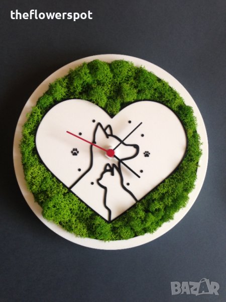 Подарък за ветеринари, ветеринарни клиники и зоомагазини, снимка 1