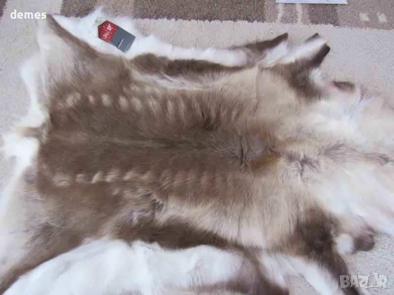 Кожа от северен елен, нова, Швеция, снимка 1