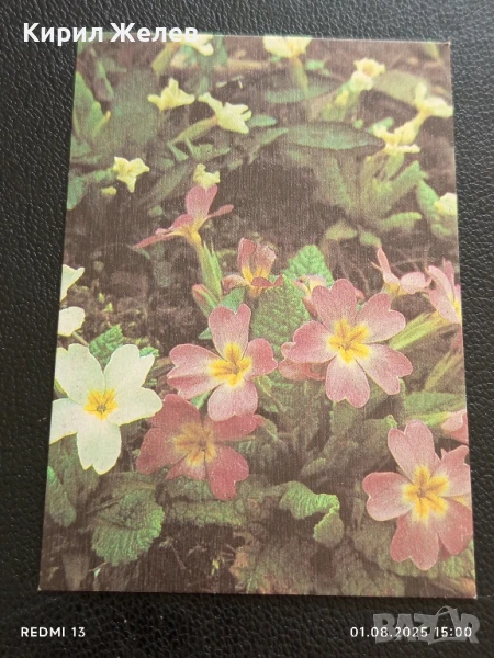 Старо календарче серия ЦВЕТЯ за КОЛЕКЦИЯ ДЕКОРАЦИЯ 35328, снимка 1