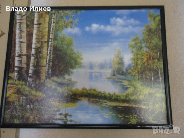 Картини разнообразни, снимка 16 - Картини - 32665722