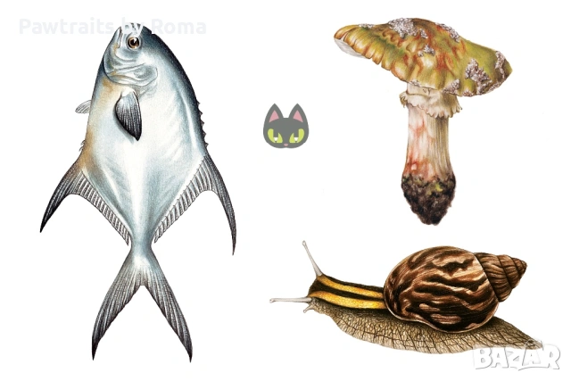 Авторски илюстрации на животни