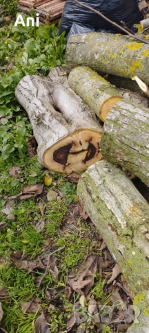  Суров дървен материал орех, снимка 4 - Други - 52775870