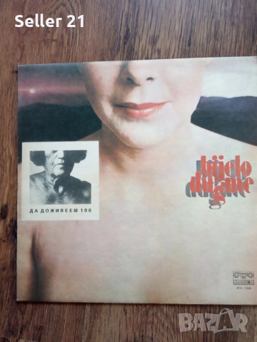 Грамофонни плочи от 60-70-80 години - 5, снимка 6 - Грамофонни плочи - 52061914