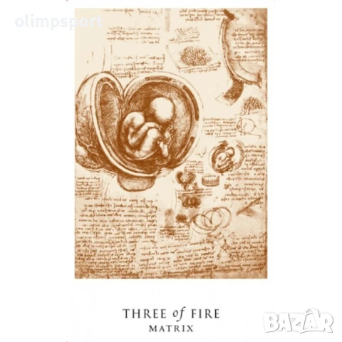 Карти Таро Schiffer Publishing Da Vinci Enigma Kit , снимка 4 - Карти за игра - 51365434