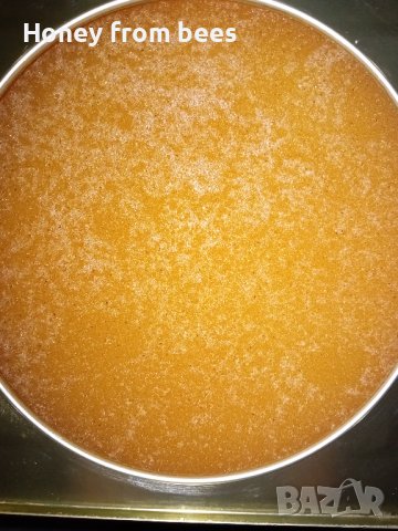 Мед от Пчели, снимка 6 - Пчелни продукти - 41579311