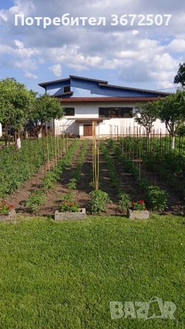 Продава се имот с работещ бизнес в село Петково (Софийска област), снимка 2 - Къщи - 50859123