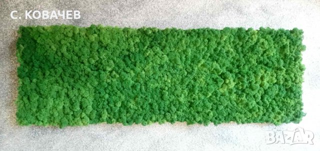 Изработване пана/картини от цветове скандинавски мъх по Ваши размери., снимка 4 - Картини - 26820245