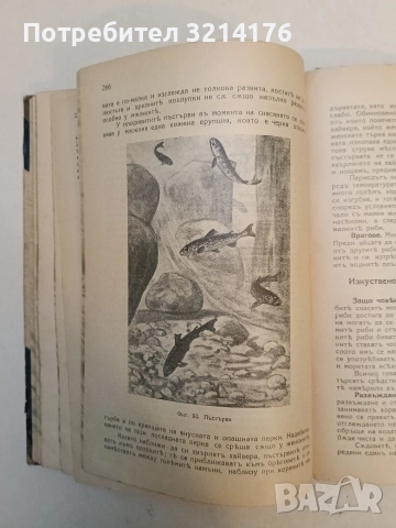 Животнитѣ от биологично гледище - Борис Митов (1935, Луксозна изработка, Отлично състояние), снимка 7 - Специализирана литература - 52773226