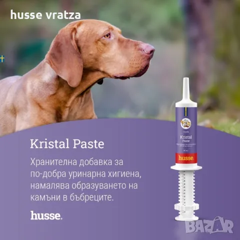 Хранителна добавка за котки и за кучета, която намалява появата на камъни в бъбреците KRISTAL PASTE , снимка 1