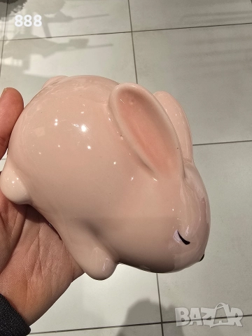 касичка зайче