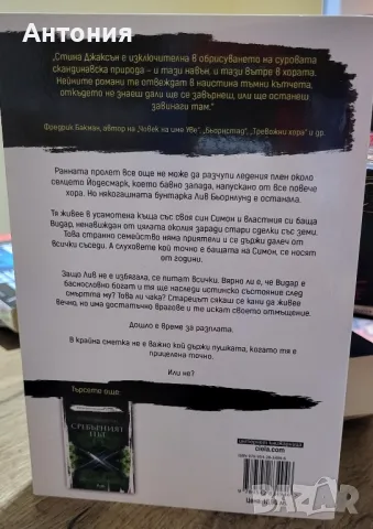 Пустош - Стина Джаксън, снимка 2 - Художествена литература - 48682834