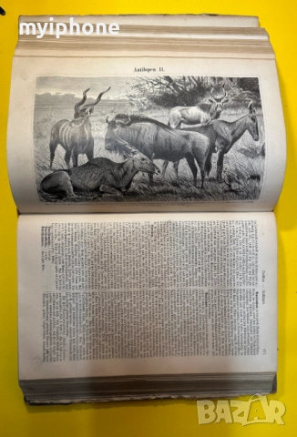 Стара Книга Справочна Работа с Общи Познания 1893 г., снимка 9 - Енциклопедии, справочници - 52787459