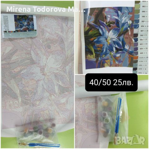 Картини по номера 40/50см.-25лв., снимка 6 - Подаръци за рожден ден - 36802522