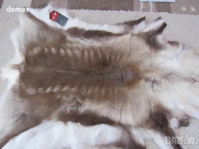 Кожа от северен елен, нова, Швеция