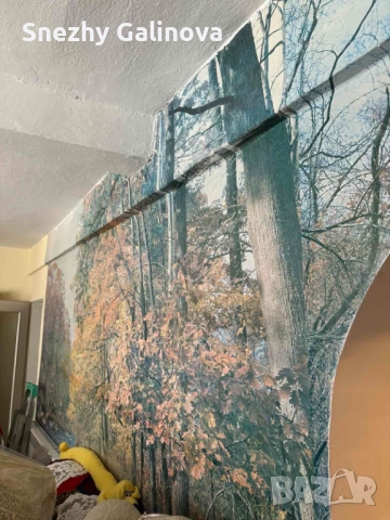 Продавам двуетажна къща в с. Смочево, община Рила, област Кюстендил, снимка 8 - Къщи - 52896387