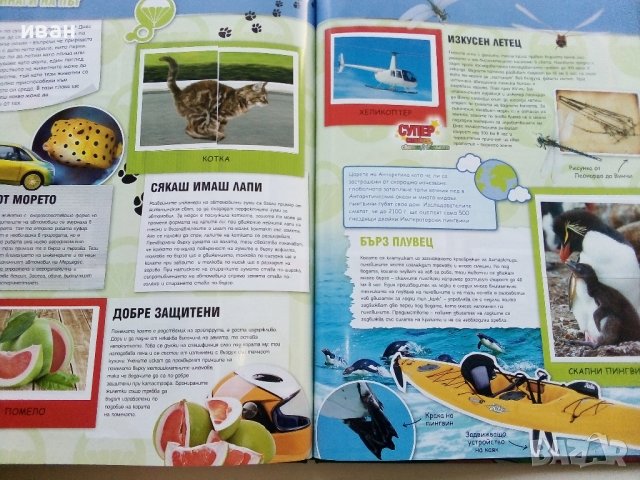 Стикер- албум "Изобретено от природата" - Била, снимка 7 - Колекции - 43906535