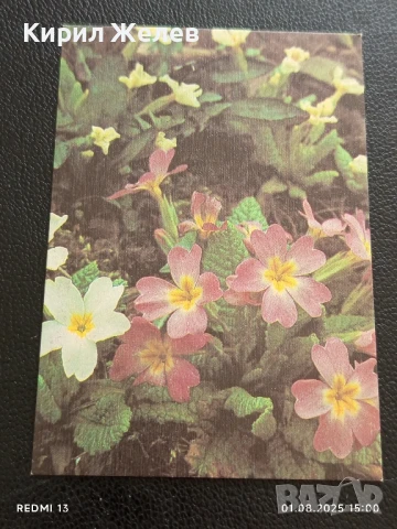 Старо календарче серия ЦВЕТЯ за КОЛЕКЦИЯ ДЕКОРАЦИЯ 35328