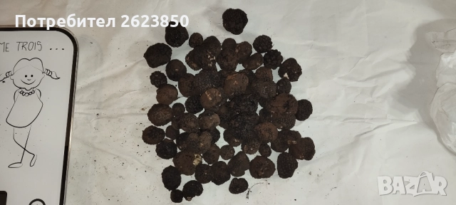 Черен Есенен Трюфел, снимка 4 - Други - 52071794