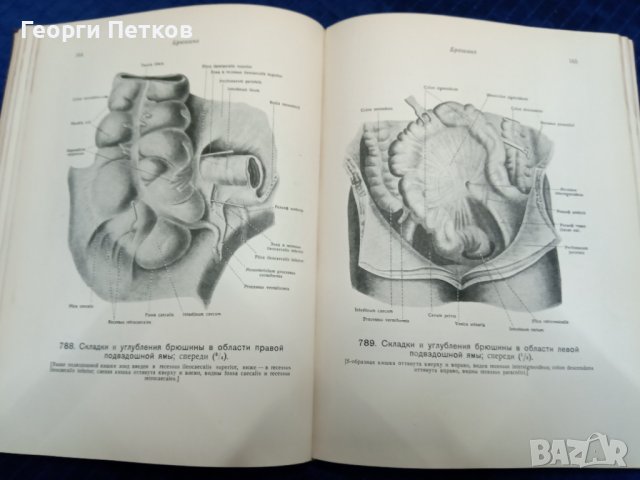Атлас анатомии человека, снимка 6 - Антикварни и старинни предмети - 43818672