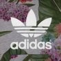 Adidas Originals оригинално горнище S Адидас спортен суичър горница, снимка 4