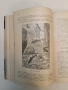 Животнитѣ от биологично гледище - Борис Митов (1935, Луксозна изработка, Отлично състояние), снимка 7
