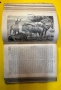 Стара Книга Справочна Работа с Общи Познания 1893 г., снимка 9