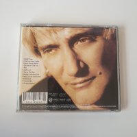  Rod Stewart ‎– A Spanner In The Works cd, снимка 3 - CD дискове - 43481027