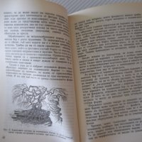 Книга "Гората и художникът - Евгений Курдаков" - 212 стр., снимка 4 - Специализирана литература - 37440785