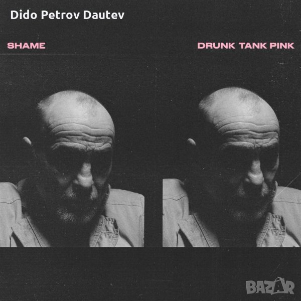  Shame - Drunk Tank Pink - грамофонна плоча, снимка 1