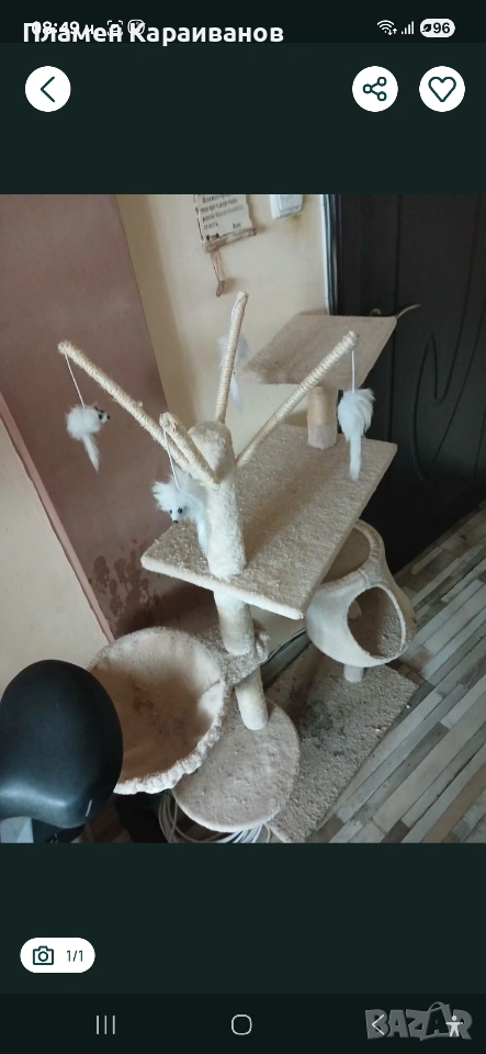 Продавам котешка катерушка, снимка 1