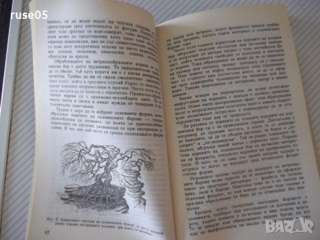 Книга "Гората и художникът - Евгений Курдаков" - 212 стр., снимка 4 - Специализирана литература - 37440785